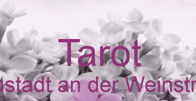 Tarot Neustadt an der Weinstraße | Top-Experten für Kartenlegen, Wahrsagen, Hellsehen, Zukunftsdeutung.